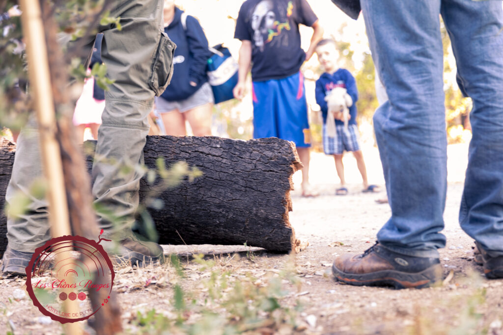 Découverte levée liège enfants camping argeles écorce