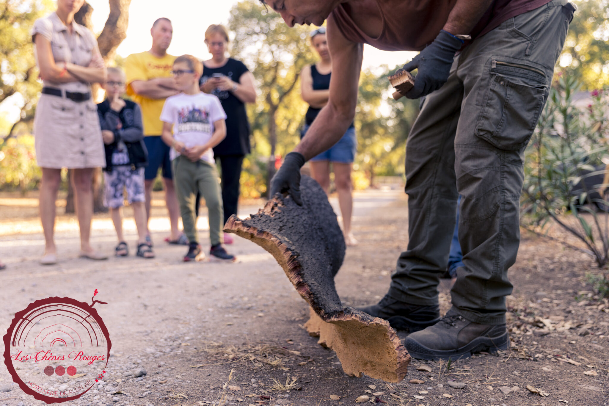 artisan découverte levée chênes lièges camping argeles