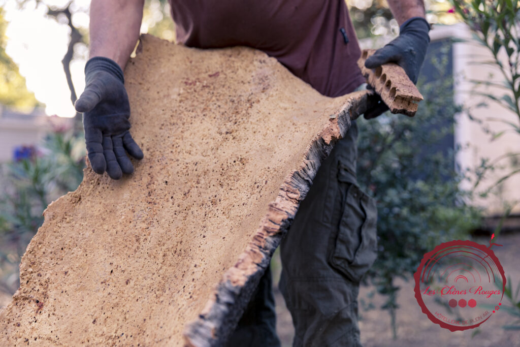 artisan découverte chênes lièges camping nature écorce