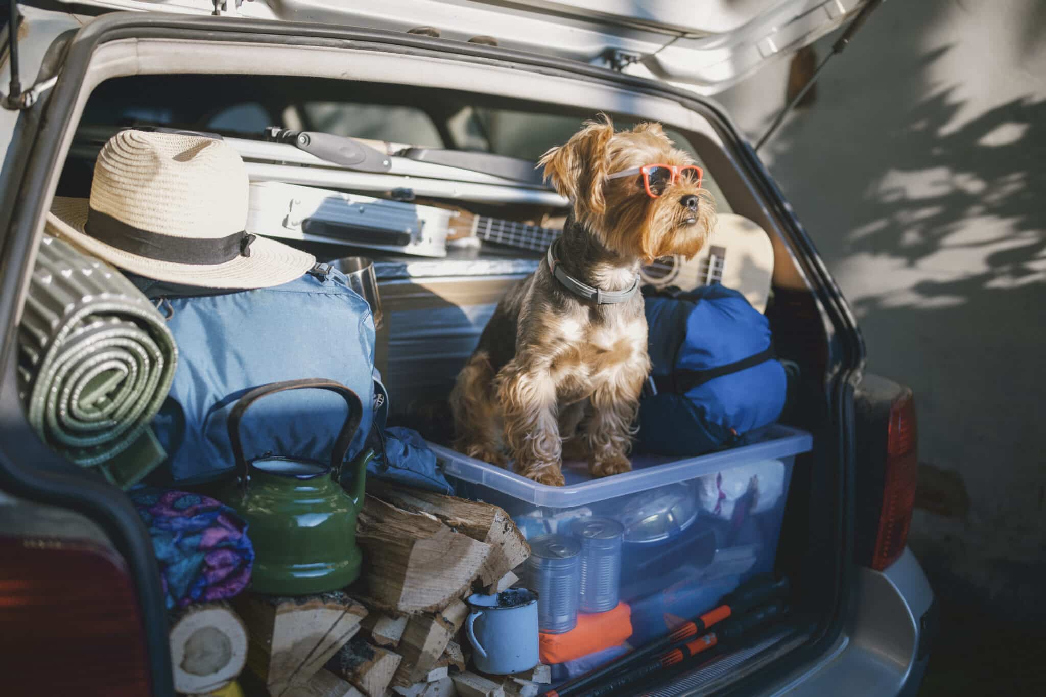 camping-dogfriendly-les-chenes-rouges-argeles-sur-mer