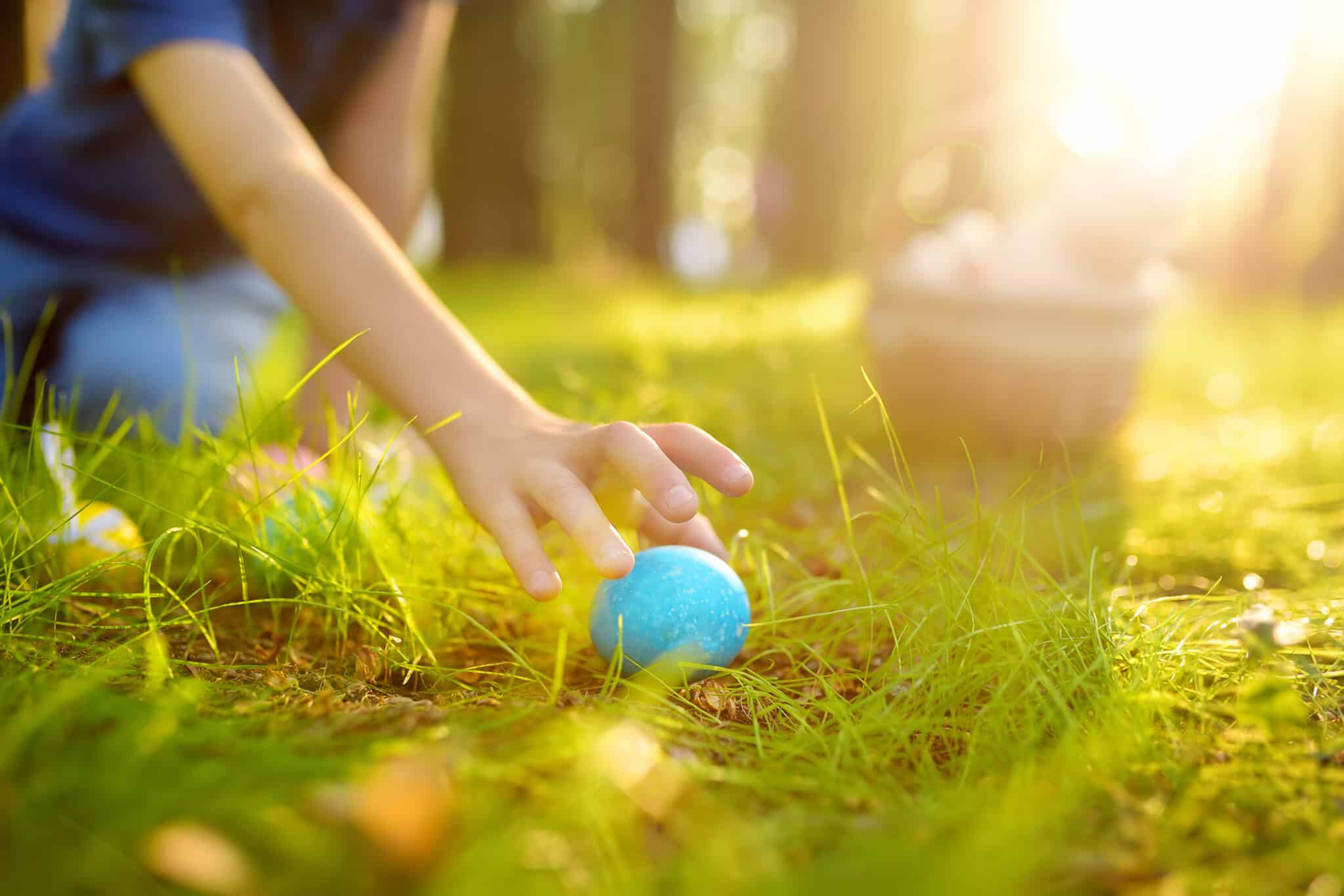 chasse-aux-oeufs-camping-argeles-sur-mer