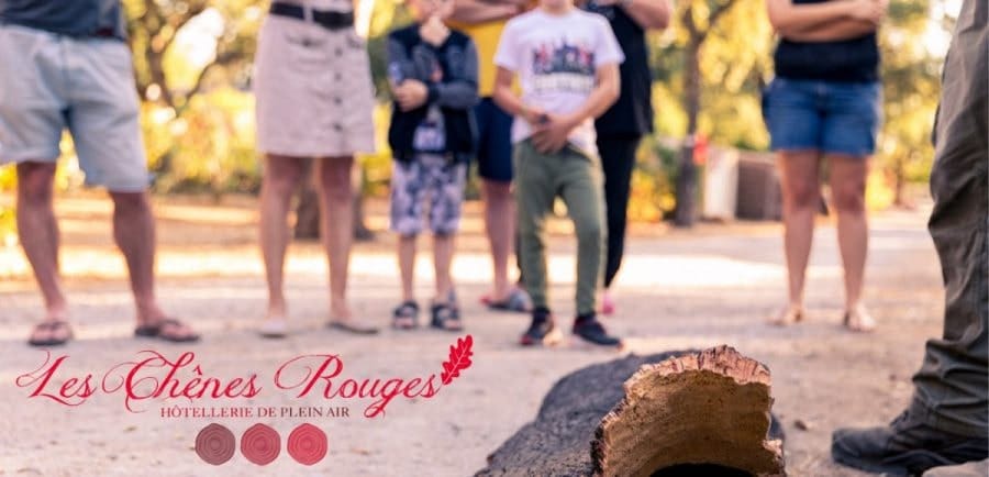 Evenement-camping-les-chenes-rouges-argeles