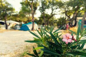 Forfait-confort-camping-chenes-rouges-argeles
