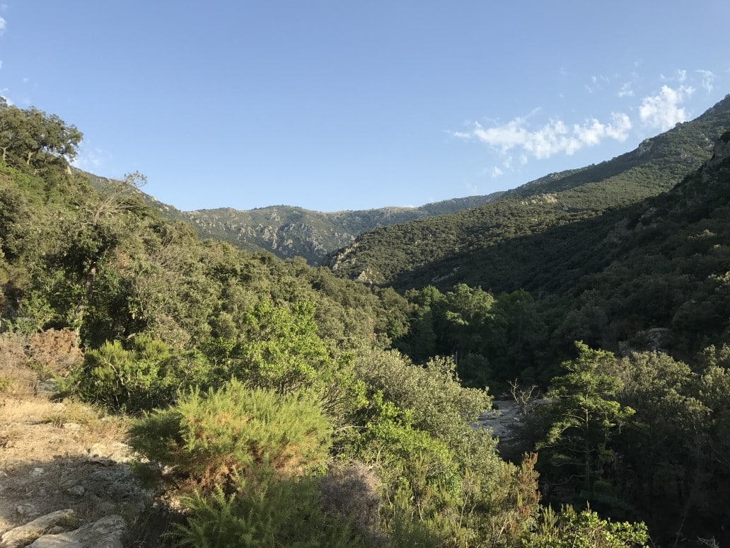 Randonnée-dans-le-massif-des-alberes