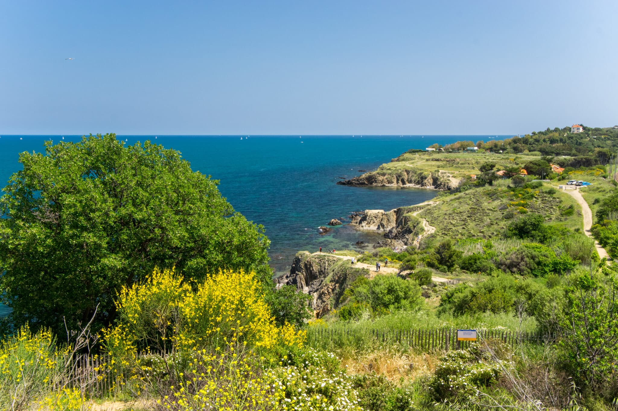 sentier-littoral-cote-vermeille-argeles-sur-mer
