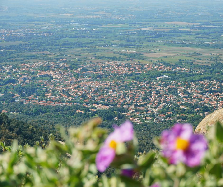 balade-cote-vermeille-sorede