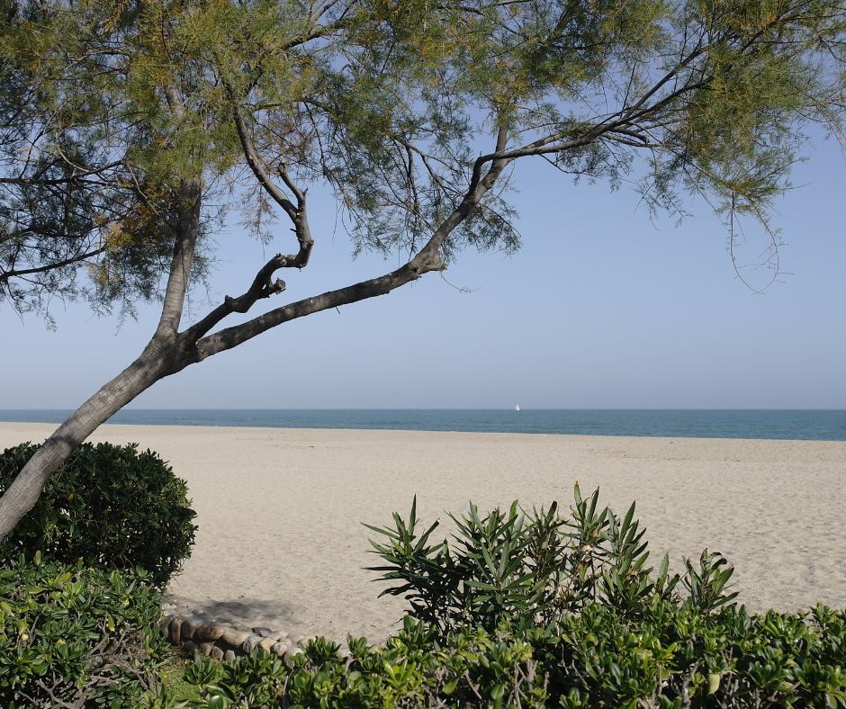 balade-sentier-littoral-plages