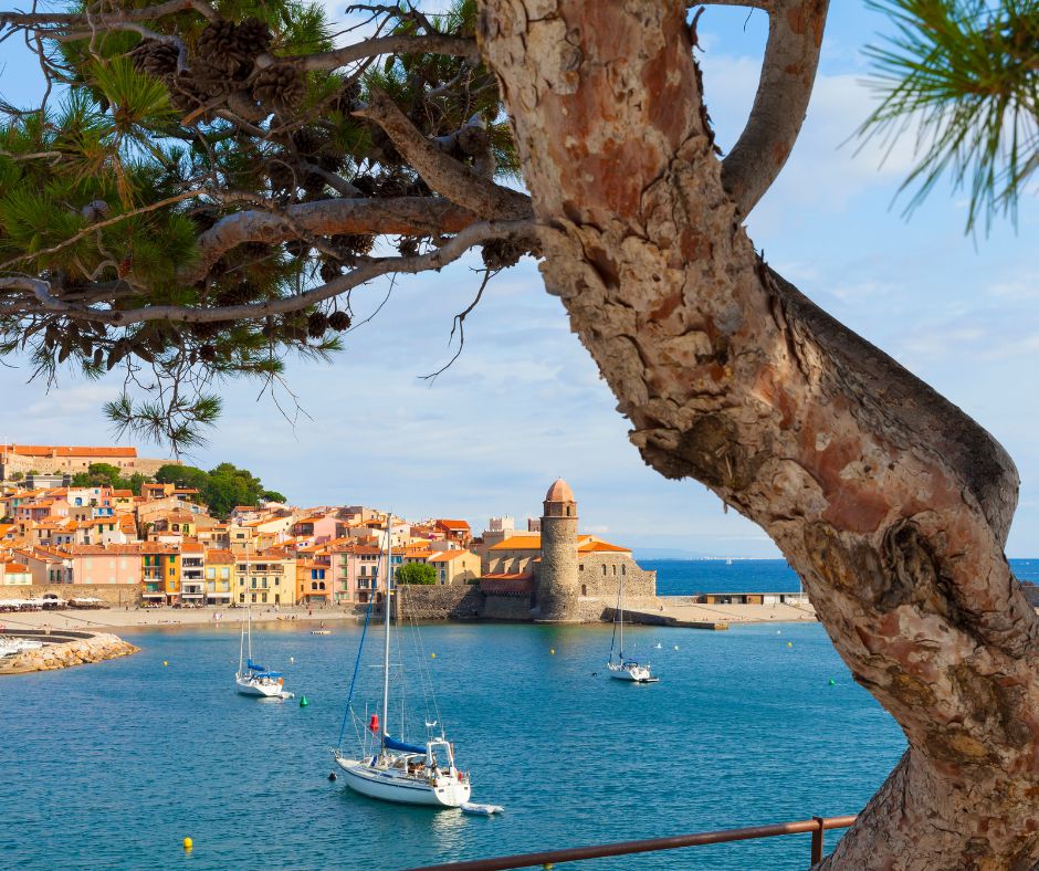 camping-argeles-balade-sentier-littoral-traverse-collioure