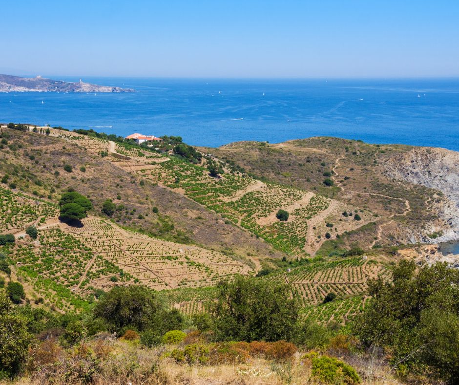 reserve-marine-sentier-littoral-camping-argeles