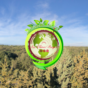 https://www.campingleschenesrouges.com/content/uploads/2019/03/Infrastructures_Aire_Jeux.png
