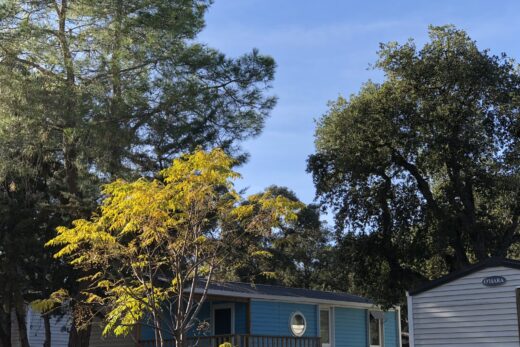 Mobilhome-Camping-Arbres