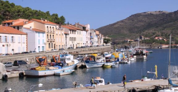 Activites-argeles-et-alentours
