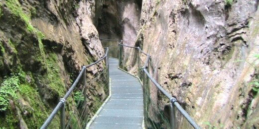 Arles_sur_Tech_Gorges_de_la_Fou_