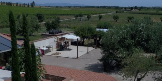 Domaine-viticole-mas-becha