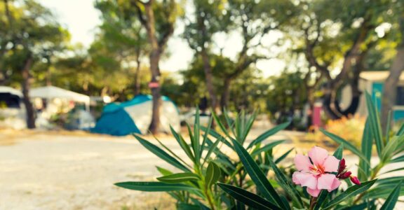 Forfait-confort-camping-chenes-rouges-argeles