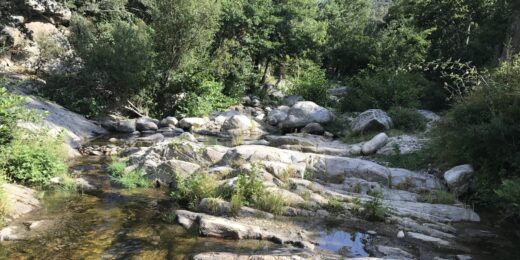 Les-alberes-argeles-sur-mer